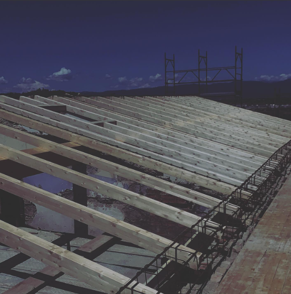 Coperture in legno e bioarchitettura